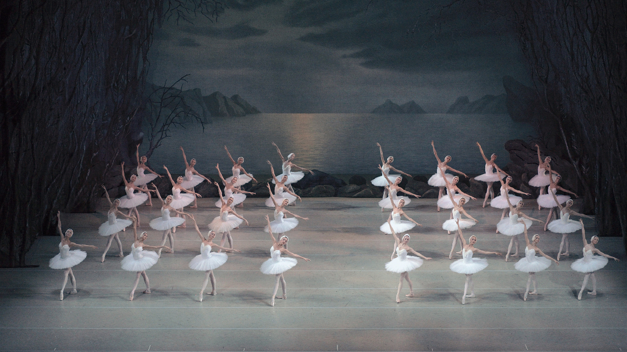 「芭蕾航母」首次航泊山西 百隻天鵝與您相約汾河之畔