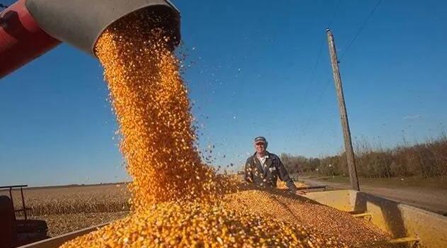 烏克蘭9月中旬以來出口糧食超100萬噸