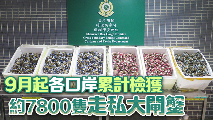 香港海關聯合食環署 於深圳灣檢獲826隻疑走私大閘蟹