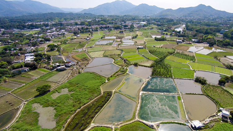 河上鄉及沙羅洞保育項目資助獲批 涉款2700萬