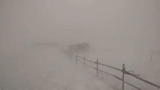 蒙古國中部暴風雪導致8人死亡 