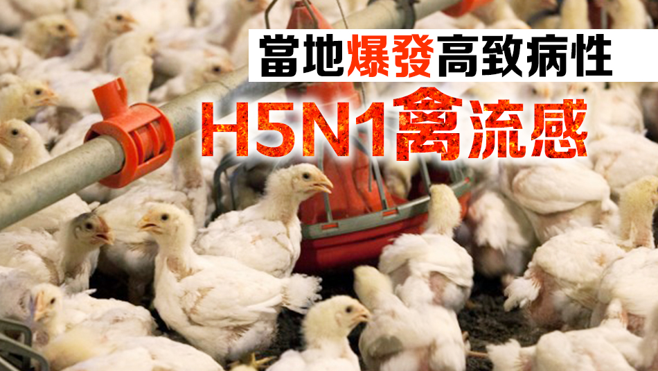 本港暫停進口美國部分地區禽肉及禽類產品