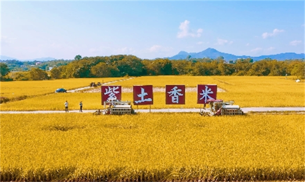 廣東南雄高標準推進「百千萬工程」繪就城鄉融合發展新畫卷