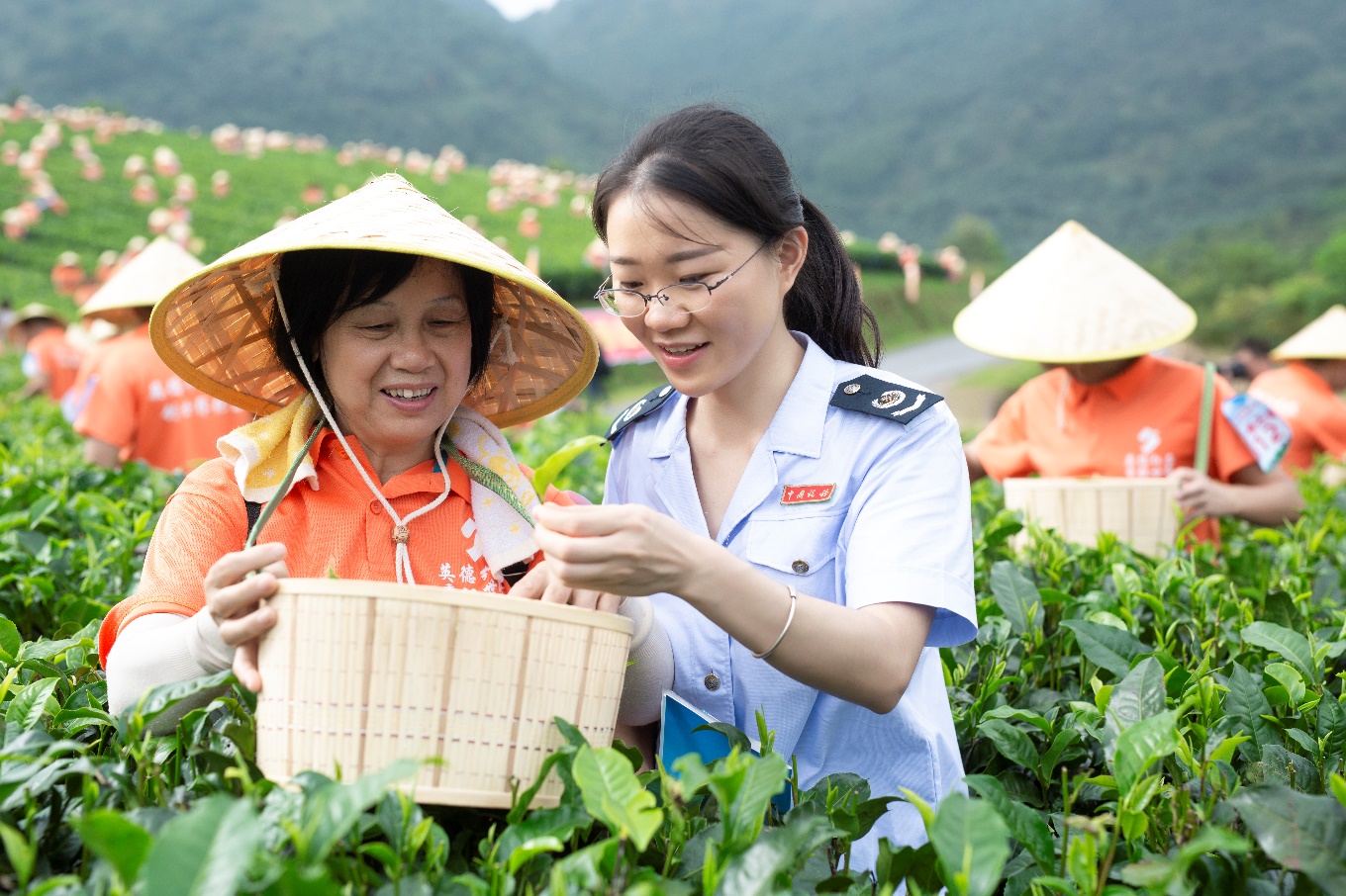 稅惠守護「家鄉味」 廣東現代農業與食品產業煥發更強「食力」