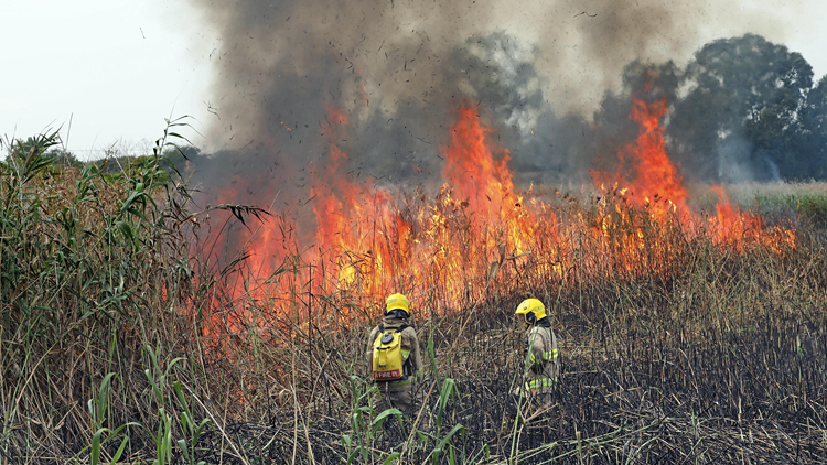天文台發出紅色火災危險警告 籲市民小心防止山火