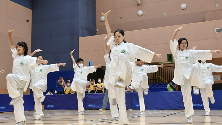 陳國基：明年初成立愛國主義教育工作小組 全方位推動國民教育