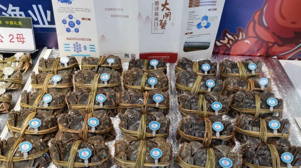 【粵港澳媒體看山東】生態小螃蟹變身致富大產業