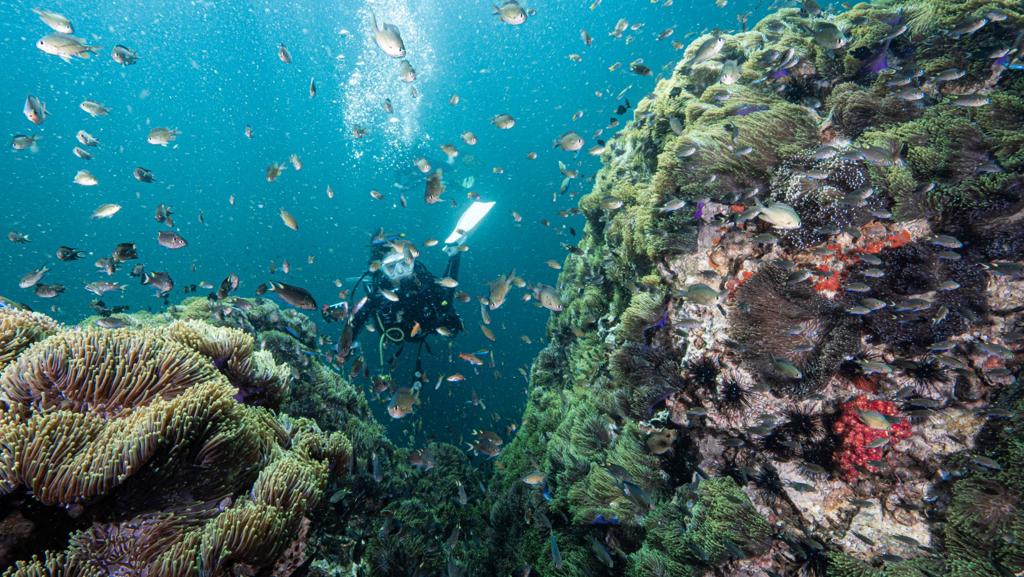 【旅遊】泰旅局香港與購物平台合推獎賞活動