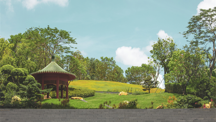  鳳鳴喜事 龍行大運 | 香港中文大學（深圳）集體婚禮全球招募啟動