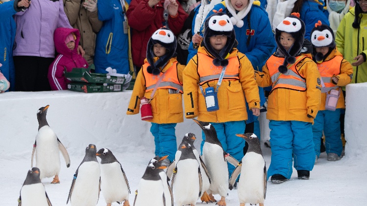 內地文旅瘋卷「潑天富貴」