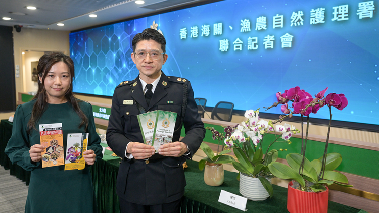 港人鐘意北上辦年貨 海關提醒勿誤帶違禁品及受管制物品入境