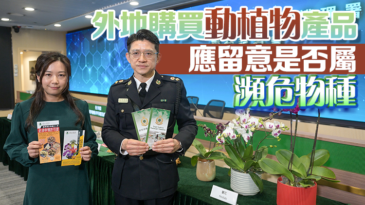 港人鐘意北上辦年貨 海關提醒勿誤帶違禁品及受管制物品入境