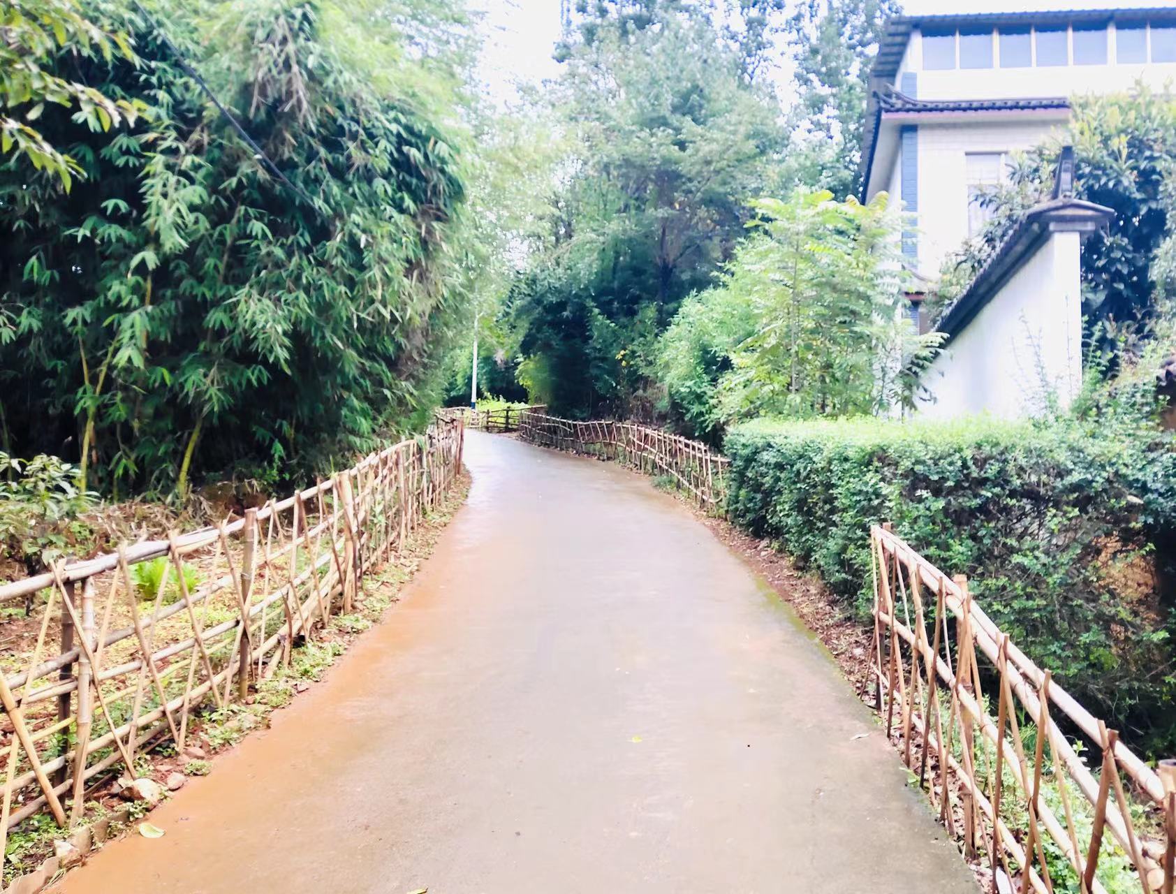 雲南鶴慶： 綠美鄉村新畫卷 文明花開鑄同心