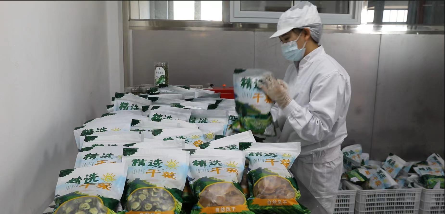 黑龍江拜泉縣： 「小乾菜」做成鄉村振興「大產業」