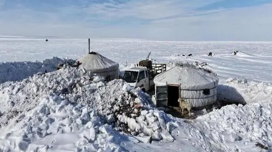 蒙古國遭受近50年不遇雪災 