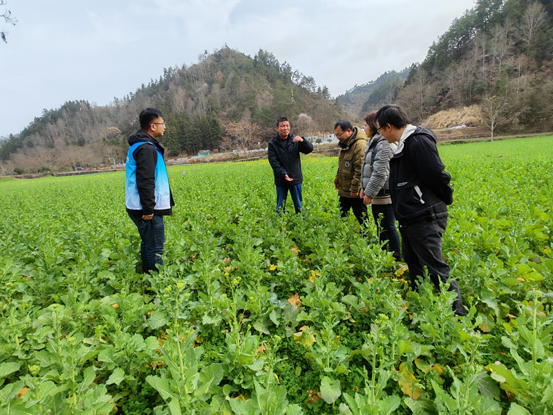 抓農時促服務  皖黟縣多措並舉助春耕