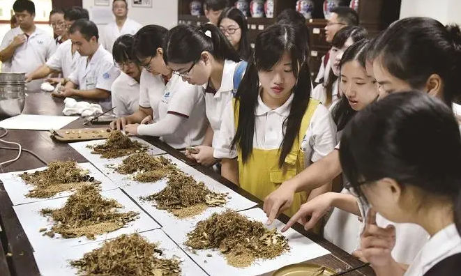 港區全國政協多位委員將在兩會為中醫藥發聲