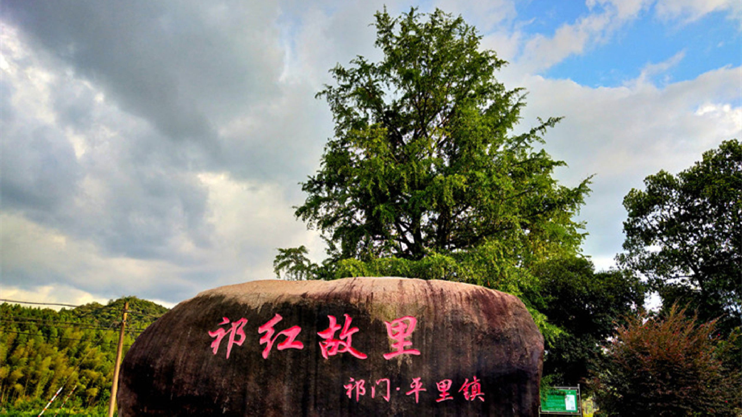 皖祁門平裏鎮：多維賦能茶產業  添彩共富新圖景