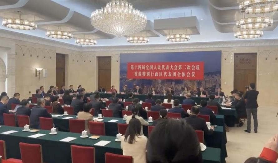 直播丨十四屆全國人大二次會議 香港代表團全體會議 