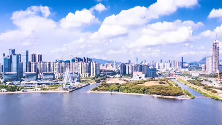 天空之城——上海導演鏡頭裏的寶安