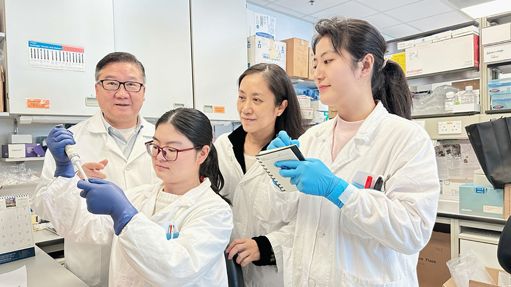 癌症治療新突破：港大醫學院研製雙重抗腫瘤疫苗