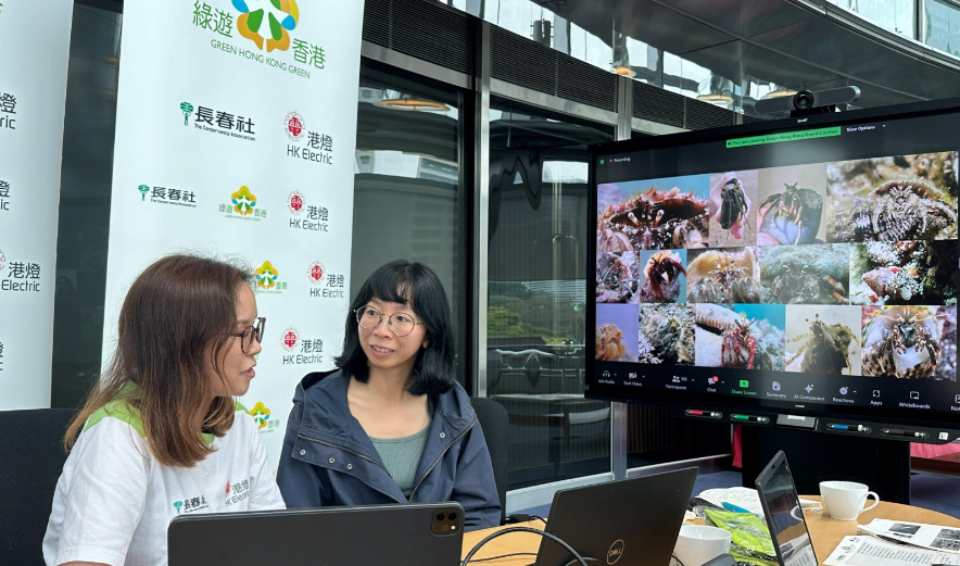 「綠遊香港」分享本地生物多樣性 珊瑚調查揭秘南丫海域奇幻繽紛