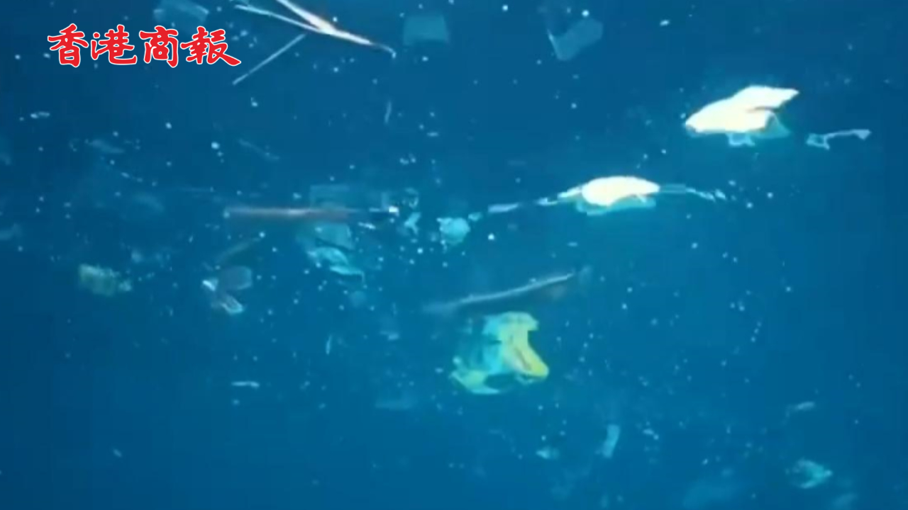 有片｜增速驚人！海底堆積塑料垃圾或高達1100萬噸