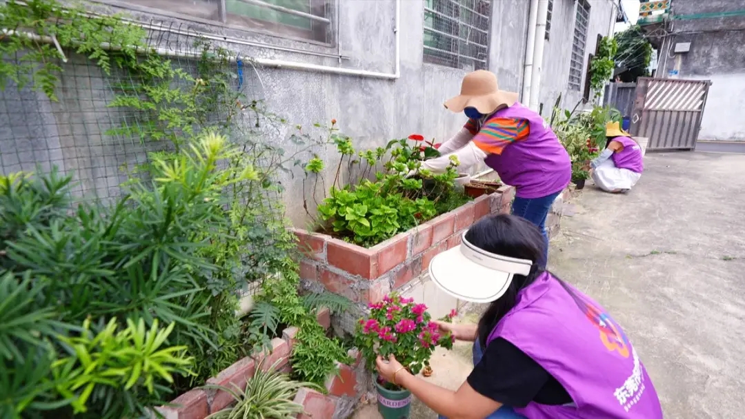 東莞沙田：美麗庭院「小環境」提升鄉村振興「大顏值」