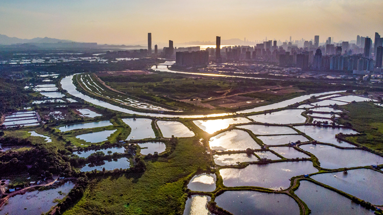 環諮會小組：可有條件通過新田/落馬洲環評報告 並提出7條件8建議