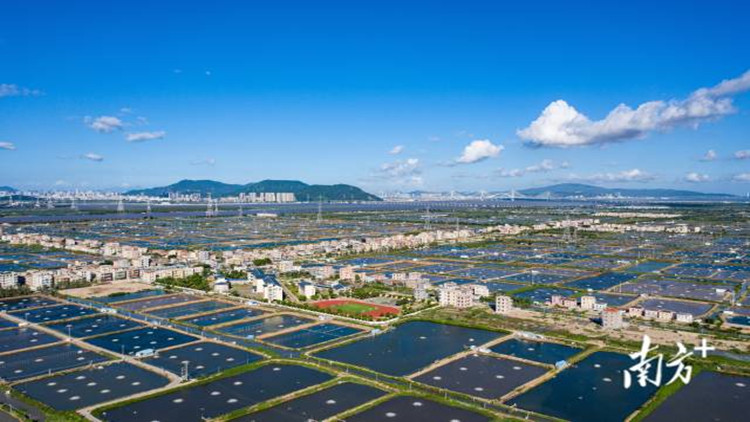 擦亮「金字招牌」 珠海再增一示範區