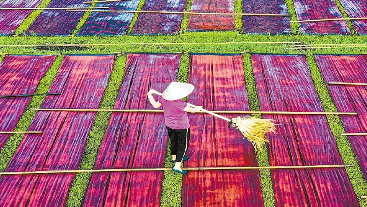 南沙湴湄村興起「非遺游」