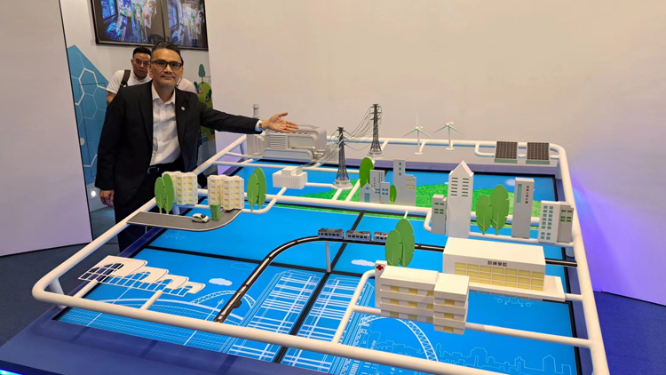 本港今年3宗電壓驟降事故 中電：8成受外在因素影響