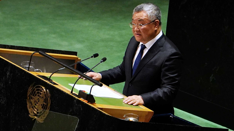 聯大通過決議認定巴勒斯坦符合聯合國會員國資格 中方：歡迎這一歷史性決議