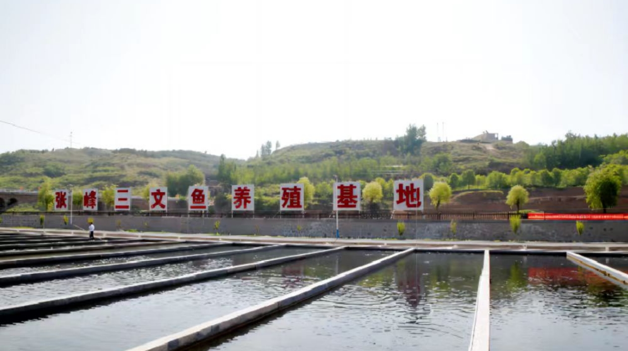 三文魚產業助推山西沁水高質量發展