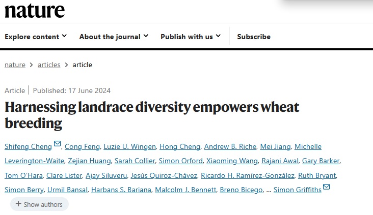 古麥今用 深圳科學家找回小麥丟失的遺傳多樣性