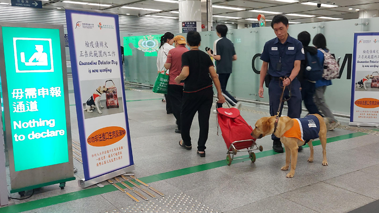 海關聯同食安中心執法 發現15宗非法攜帶生肉家禽等受規管食物入境