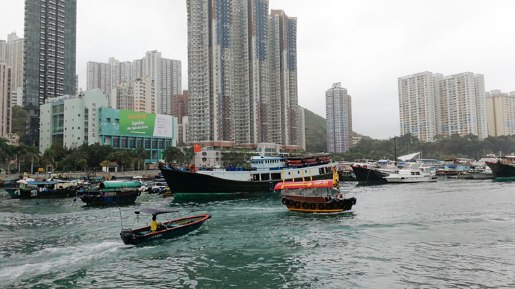 漁護署將於7月8日至26日為漁民狗隻注射狂犬病疫苗