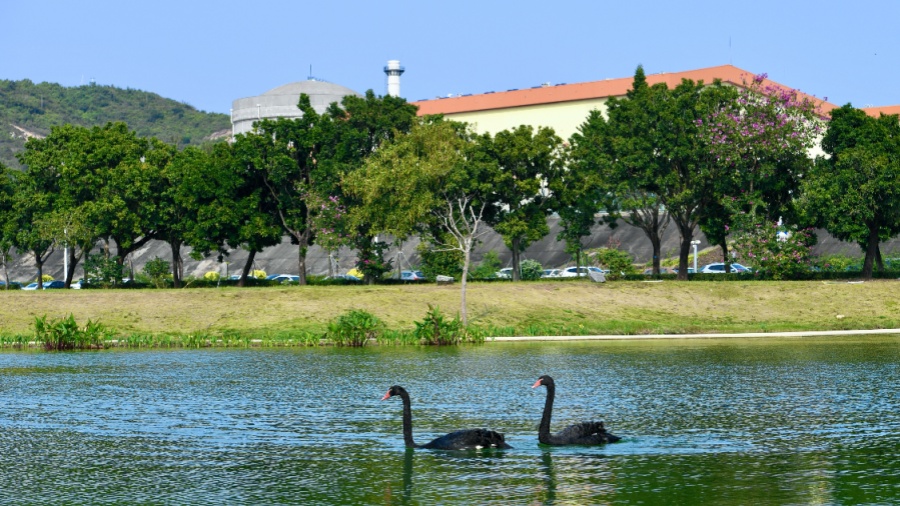 支撐粵港澳大灣區發展 中廣核大亞灣核電基地累計供電近1萬億千瓦時