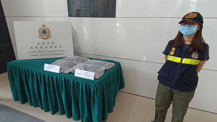 海關搗破佐敦毒品儲存倉 拘1男檢值120萬元大麻花