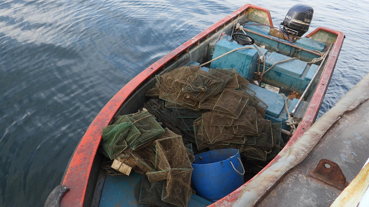 涉於三門仔附近內地船上用蛇籠捕魚 2名內地人被起訴