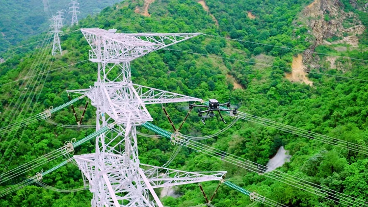 本港踏入颱風季節 中電：已制定並落實抵禦颱風及應變措施