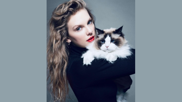 泰勒·斯威夫發帖宣布將投票給賀錦麗