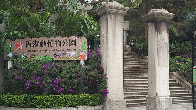 香港動植物公園8隻猴子同日死亡 14日起暫停開放園內哺乳類動物區