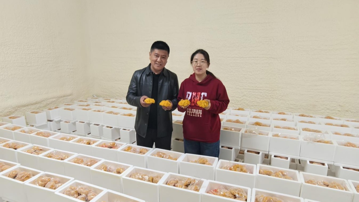 吉林省長春市雙陽區山河街道大將村：聯村共建  種出集體經濟好「錢」途