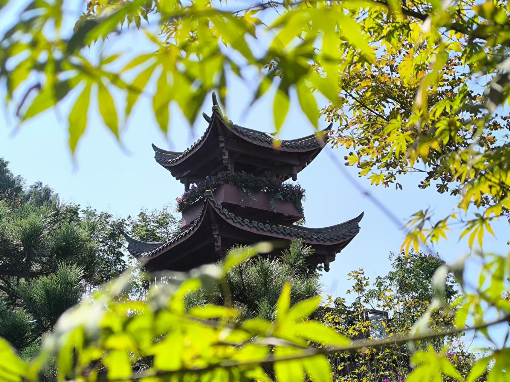 秋日探園 感受多彩園藝世界