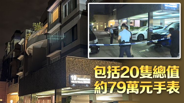 山頂種植道單位遭爆竊 損失逾80萬元財物