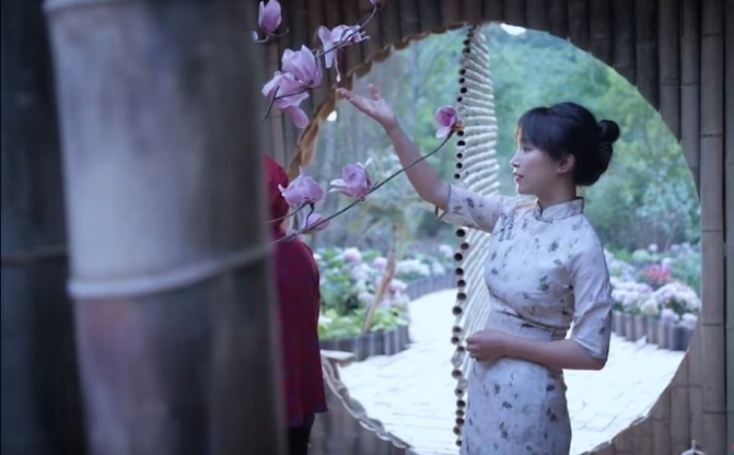 刷屏外網！李子柒回歸，海外粉絲沸騰了……