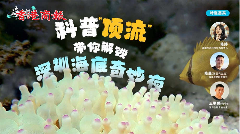 直播｜科普「頂流」帶你解鎖深圳海底奇妙夜