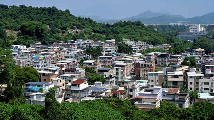 鄉郊補選5空缺投票結果出爐 28名候選人自動當選