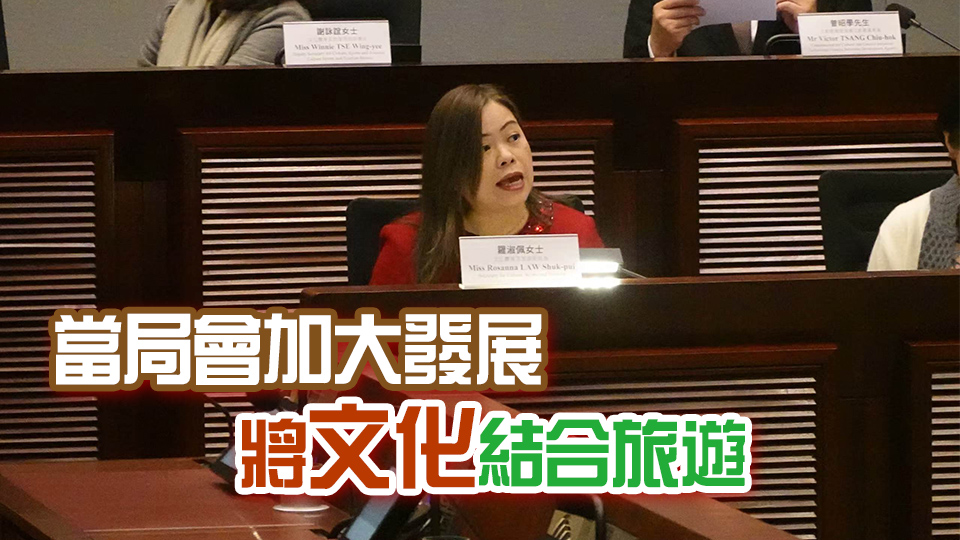 羅淑佩首度以局長身分到立法會 解說《文藝創意產業發展藍圖》